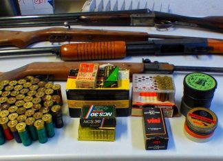 Detido homem, em Cantanhede, por indícios de violência doméstica