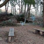 Tempestades no último mês provocaram 800 ocorrências no concelho da Mealhada