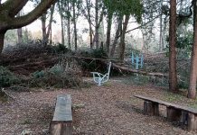 Tempestades no último mês provocaram 800 ocorrências no concelho da Mealhada