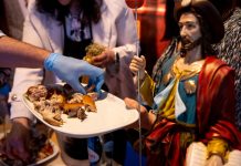 Mealhada afirma-se na BTL com aposta na gastronomia, natureza e eventos