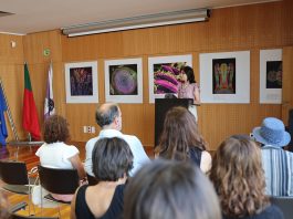 Rotary Club de Anadia vai homenagear percurso público de Teresa Belém Cardoso