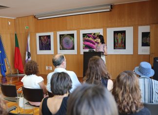 Rotary Club de Anadia vai homenagear percurso público de Teresa Belém Cardoso