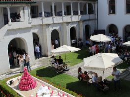 Cantanhede recebe, este sábado, os melhores brancos e rosés da região