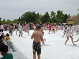 Próximo domingo recheado de atividades no Parque da Cidade da Mealhada