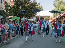 Cidade da Mealhada em festa até ao próximo domingo