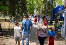 Evento na Mealhada antecipou Dia da Criança com forte adesão das famílias