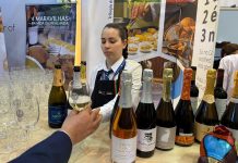Mealhada em destaque com três medalhas no concurso Città del Vino