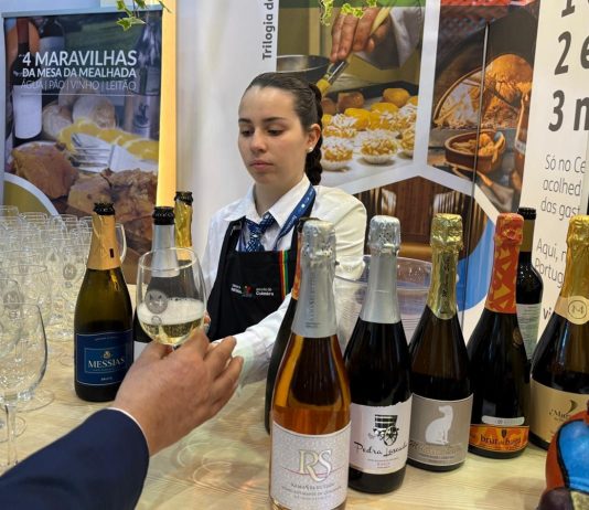 Mealhada em destaque com três medalhas no concurso Città del Vino