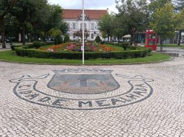 Mealhada elevada a cidade há 23 anos