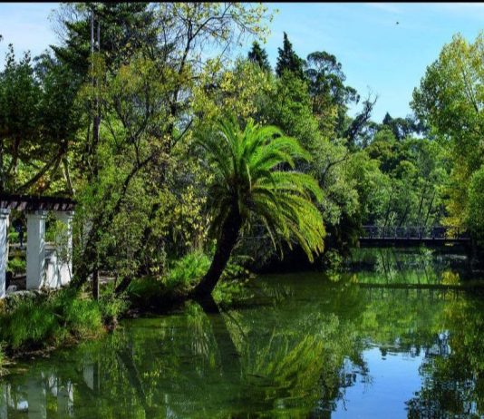Centro de Portugal elege na Curia as suas sete «Novas Maravilhas»