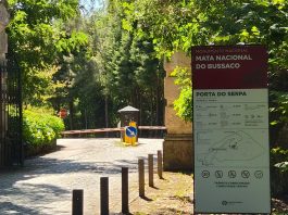 Bussaco alcança resultado histórico com o melhor mês de sempre nos últimos 17 anos