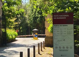 Bussaco alcança resultado histórico com o melhor mês de sempre nos últimos 17 anos