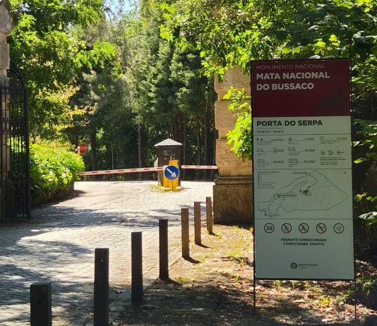 Bussaco alcança resultado histórico com o melhor mês de sempre nos últimos 17 anos