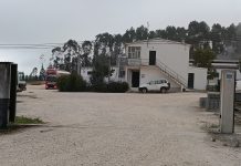 Incêndio em pocilga na Mealhada provoca morte de centenas de animais