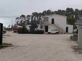 Incêndio em pocilga na Mealhada provoca morte de centenas de animais