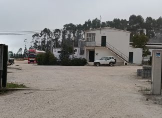 Incêndio em pocilga na Mealhada provoca morte de centenas de animais