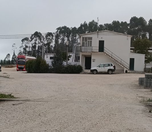 Incêndio em pocilga na Mealhada provoca morte de centenas de animais