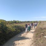 Parceiros dos Caminhos de Fátima calçam os «Pés do Peregrino» na Mealhada