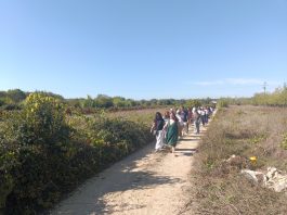 Parceiros dos Caminhos de Fátima calçam os «Pés do Peregrino» na Mealhada