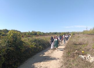 Parceiros dos Caminhos de Fátima calçam os «Pés do Peregrino» na Mealhada