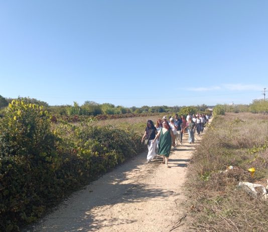 Parceiros dos Caminhos de Fátima calçam os «Pés do Peregrino» na Mealhada