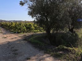 Mealhada reúne parceiros para definir o futuro dos Caminhos de Fátima