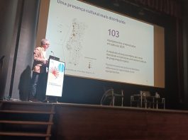 Rede de Teatros e Cineteatros «deve monitorizar e coletar informação», defende estudo