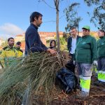 Mealhada mobiliza equipas e jovens voluntários para combater erva-das-pampas