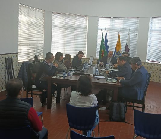 Anadia prepara Concurso Municipal de Ideias de Negócio nas Escolas